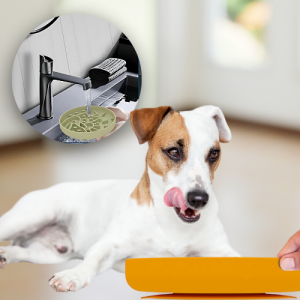 Silikon Anti-Schlingnapf für Hunde – Ideal für Snacks & Mahlzeiten Hund leckt an gelbem Silikon-Schlingnapf – Nahaufnahme beim einfachen Abspülen unter fließendem Wasser.