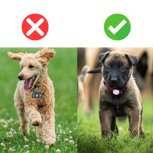 Support Airtag pour Collier – Étui en Silicone Souple Compatible Apple Airtag, pour Collier de Chien ou Chat