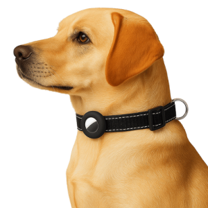 Support Airtag pour Collier – Étui en Silicone Souple Compatible Apple Airtag, pour Collier de Chien ou Chat