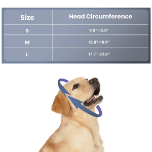 Ohrenschutz für Hunde – Beruhigende Winterhaube